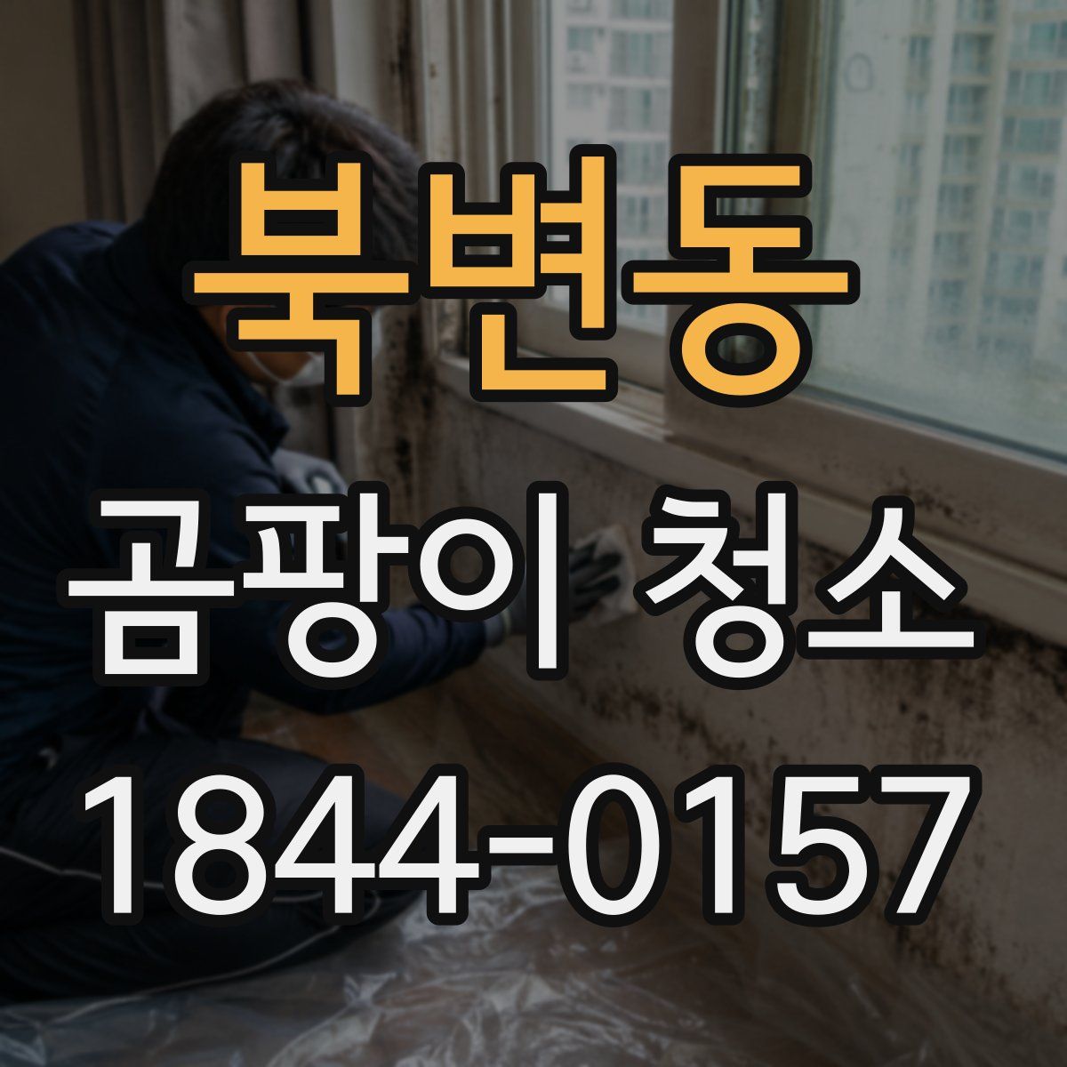 북변동 곰팡이 청소
