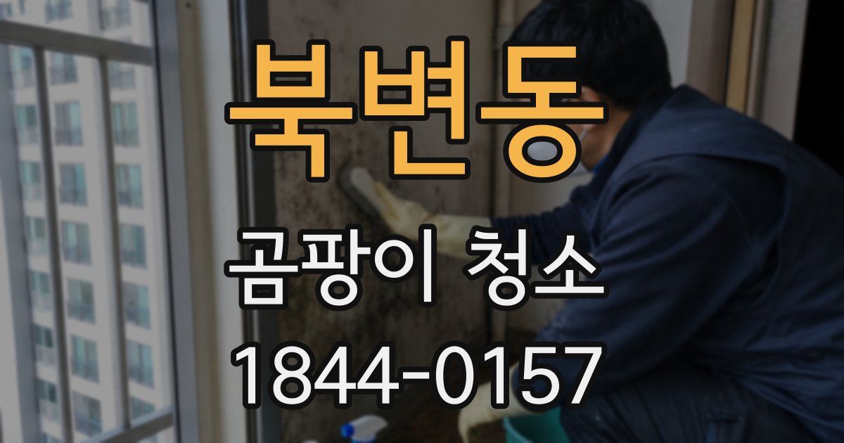 북변동 곰팡이 청소