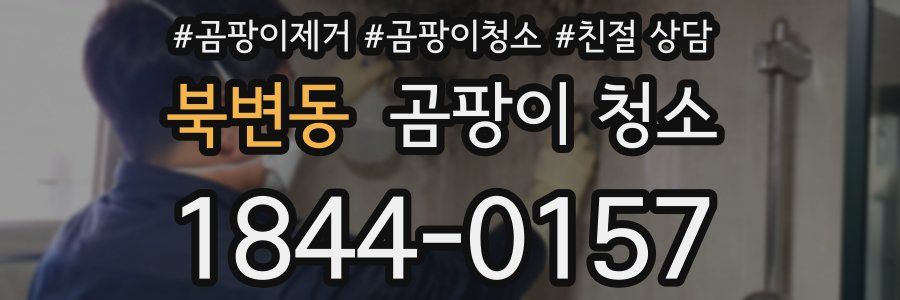 북변동 곰팡이 청소