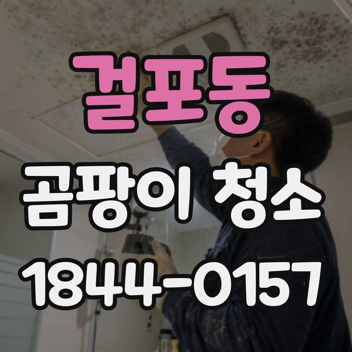 걸포동 곰팡이 청소