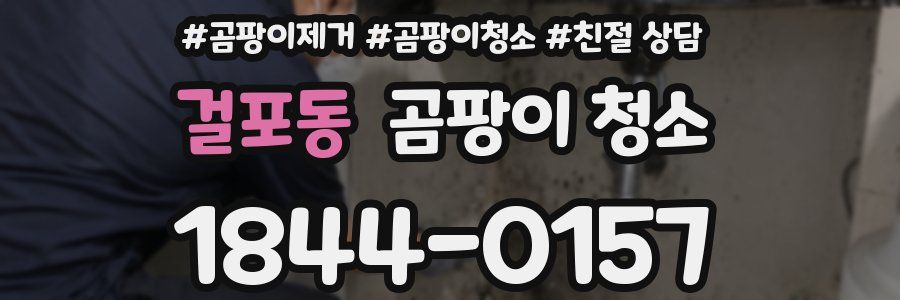 걸포동 곰팡이 청소