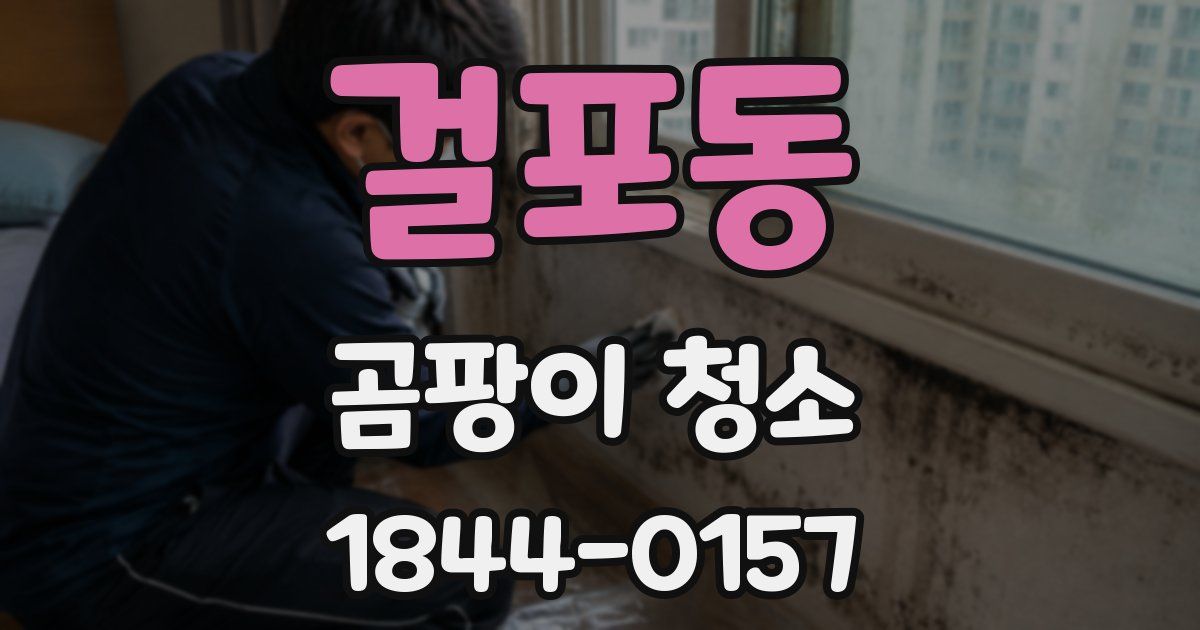 걸포동 곰팡이 청소