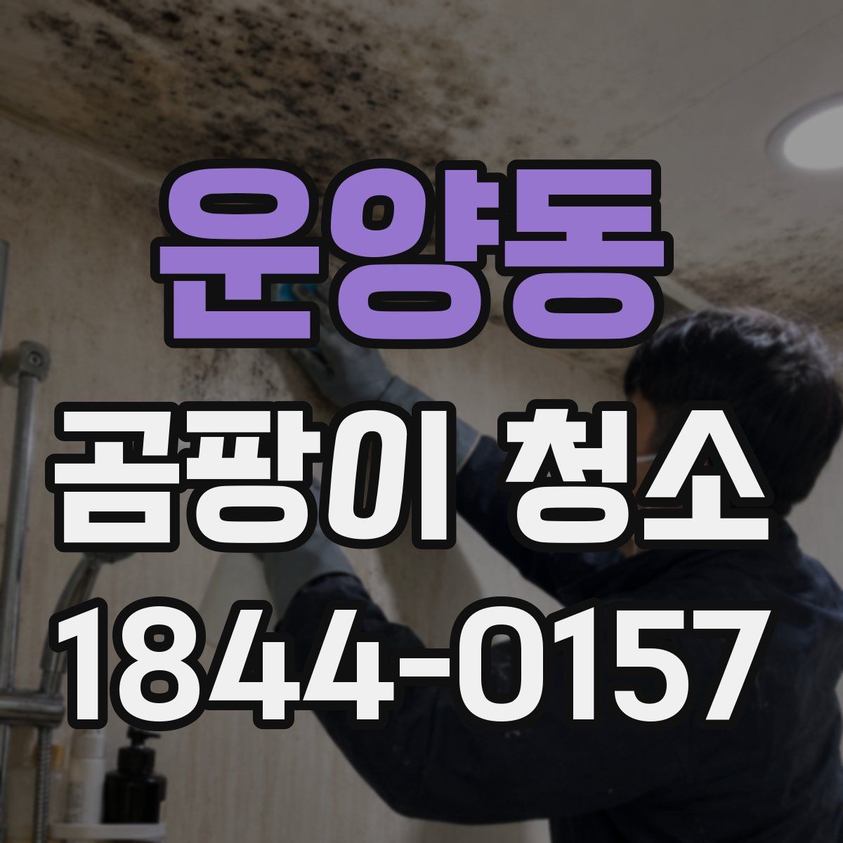 운양동 곰팡이 청소