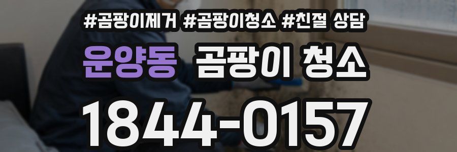운양동 곰팡이 청소