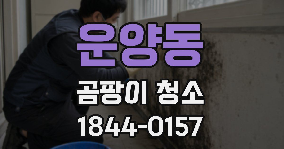 운양동 곰팡이 청소