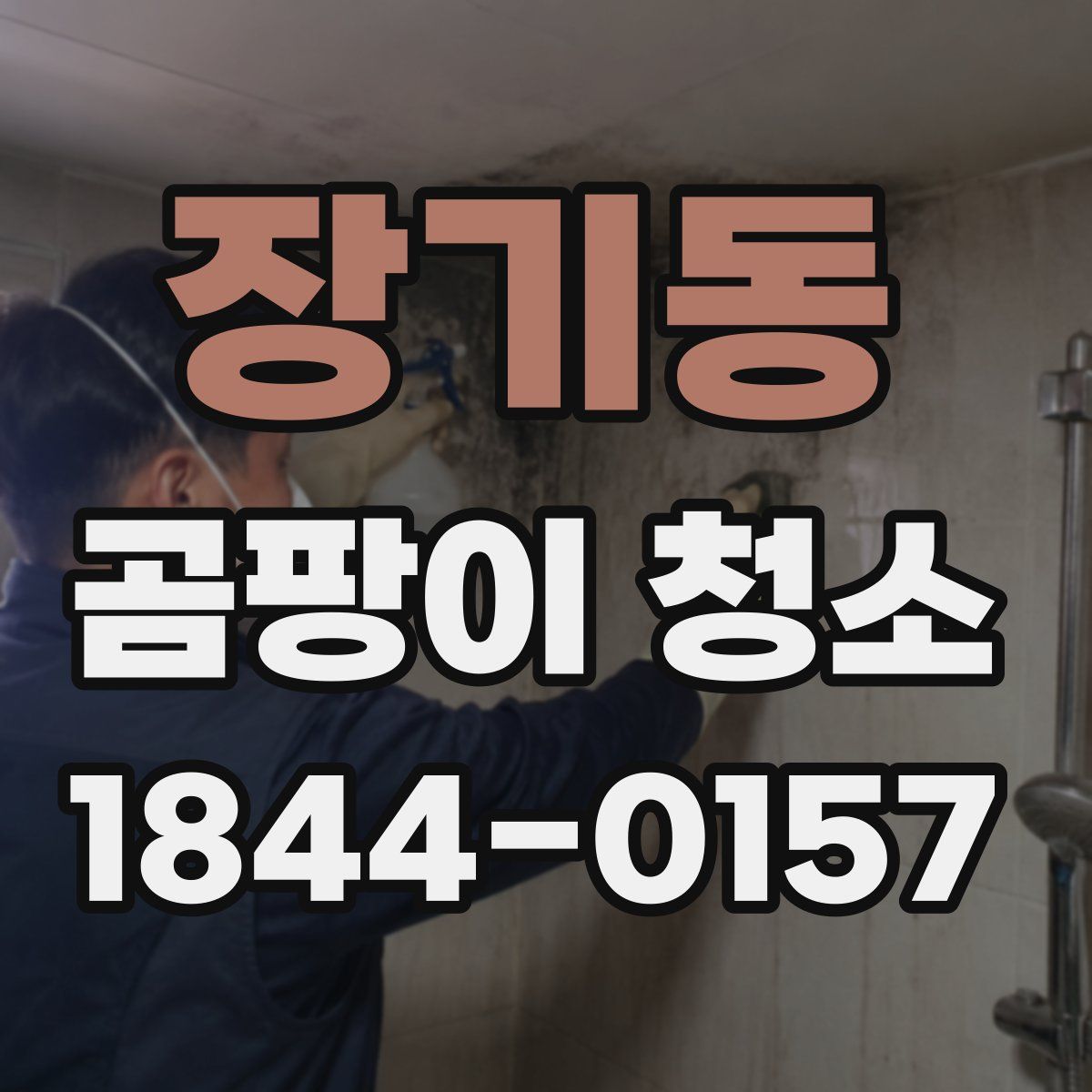 장기동 곰팡이 청소