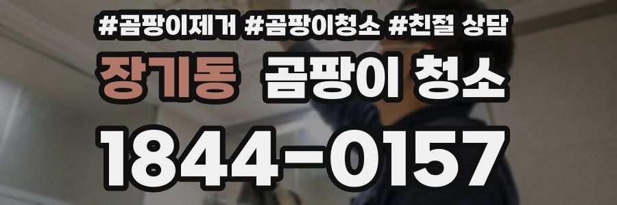 장기동 곰팡이 청소