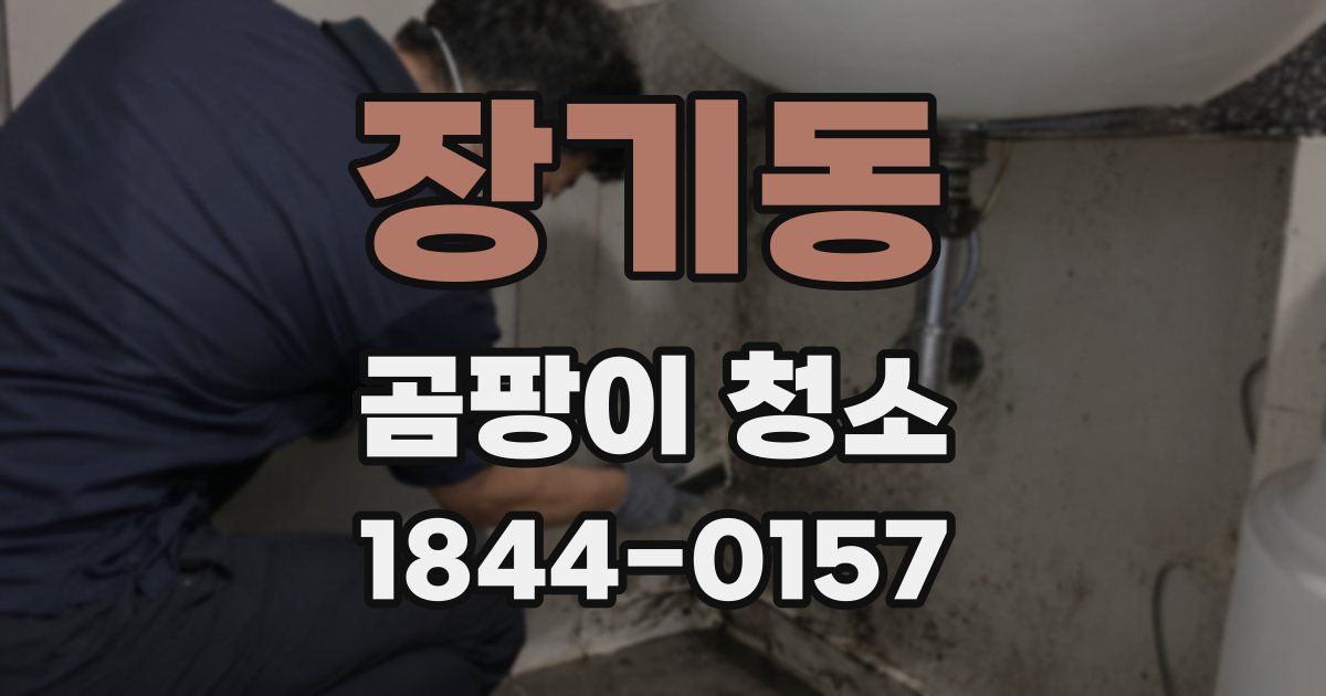 장기동 곰팡이 청소