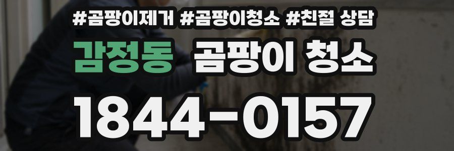 감정동 곰팡이 청소