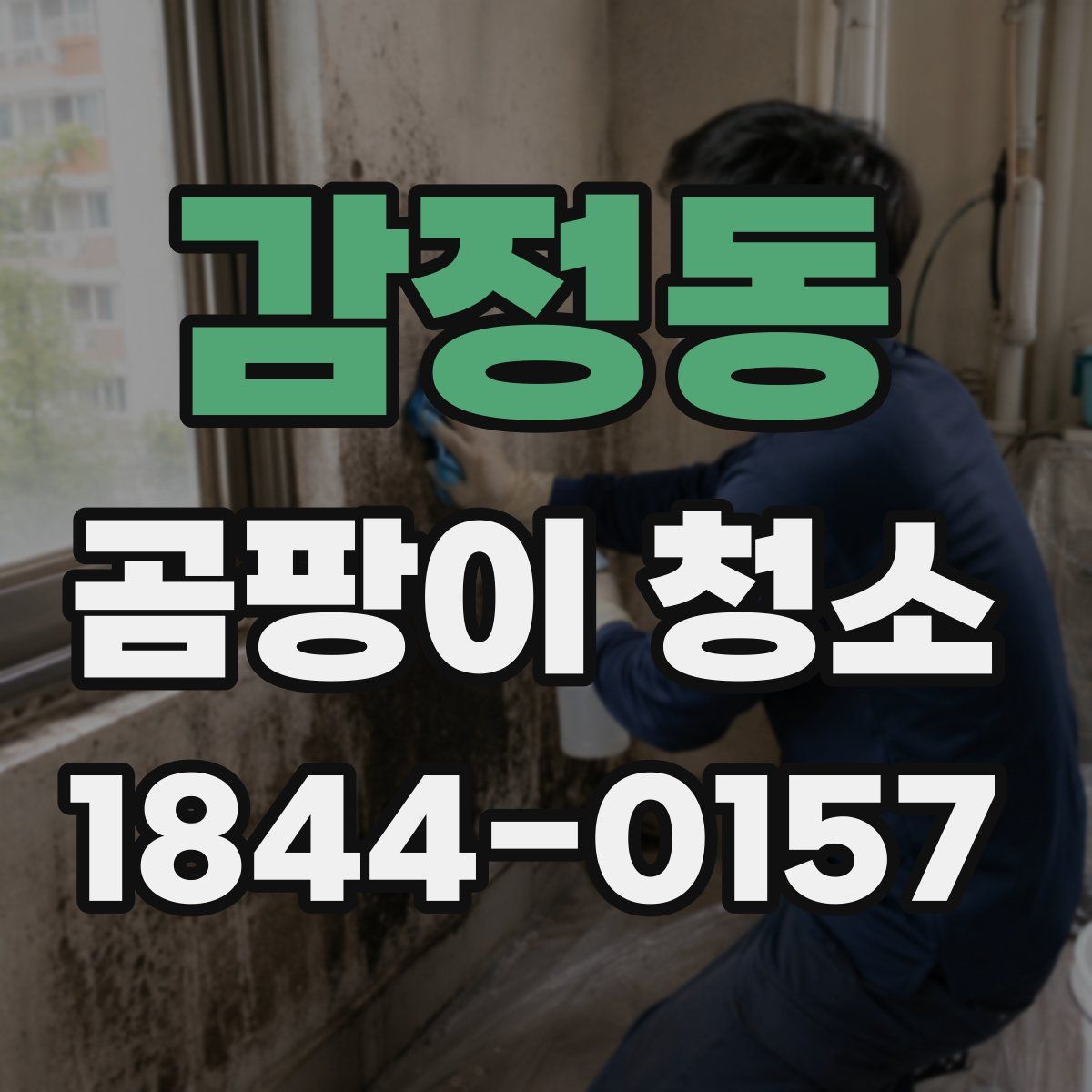 감정동 곰팡이 청소