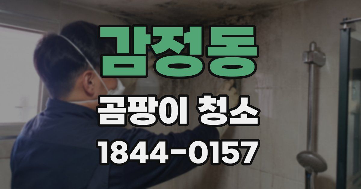 감정동 곰팡이 청소