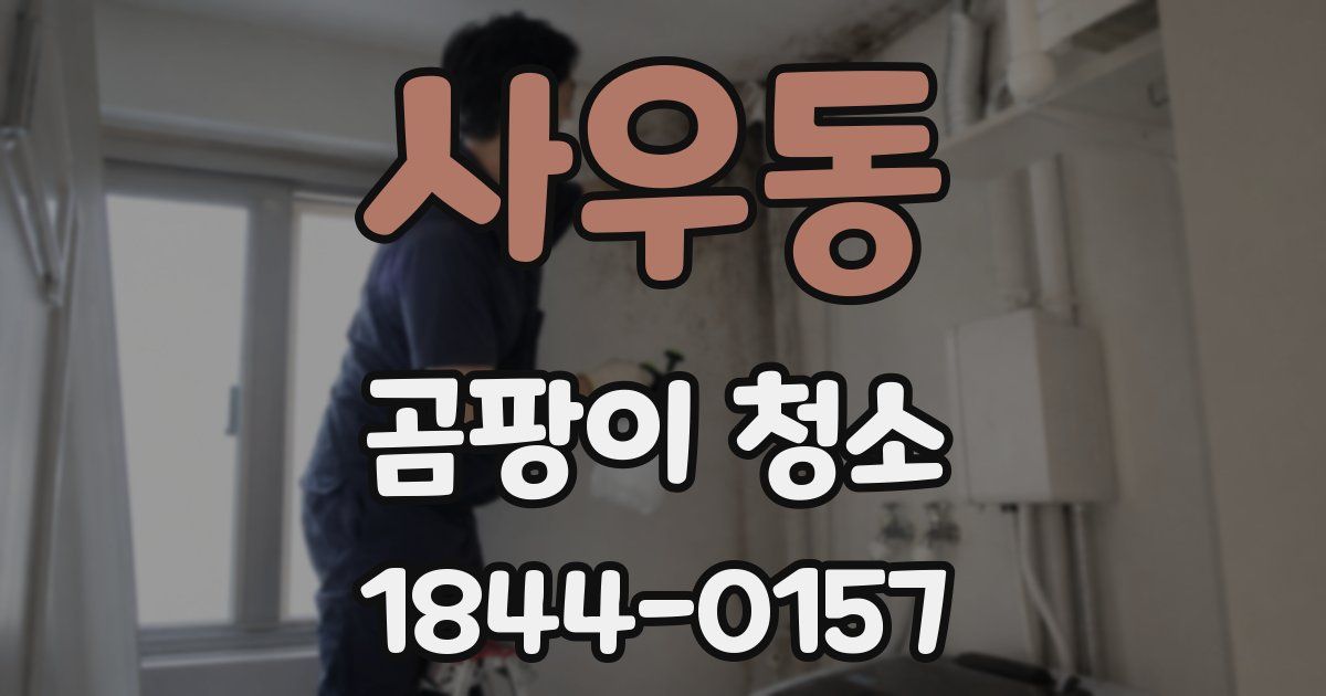사우동 곰팡이 청소