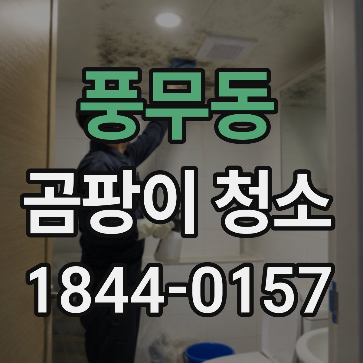 풍무동 곰팡이 청소