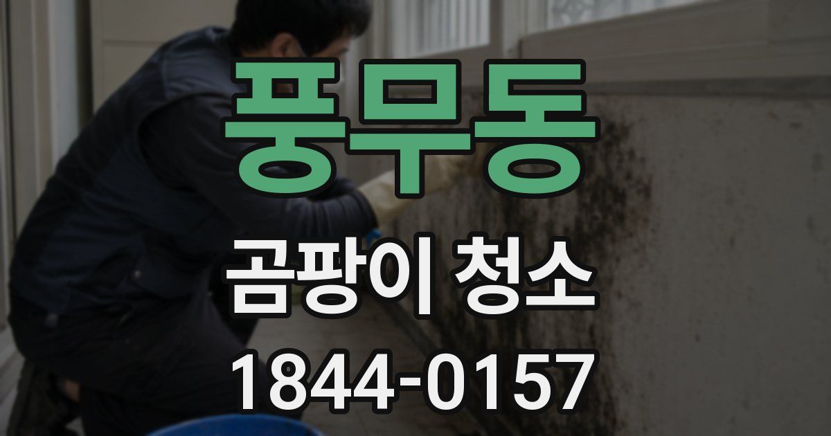 풍무동 곰팡이 청소