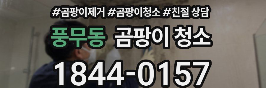 풍무동 곰팡이 청소