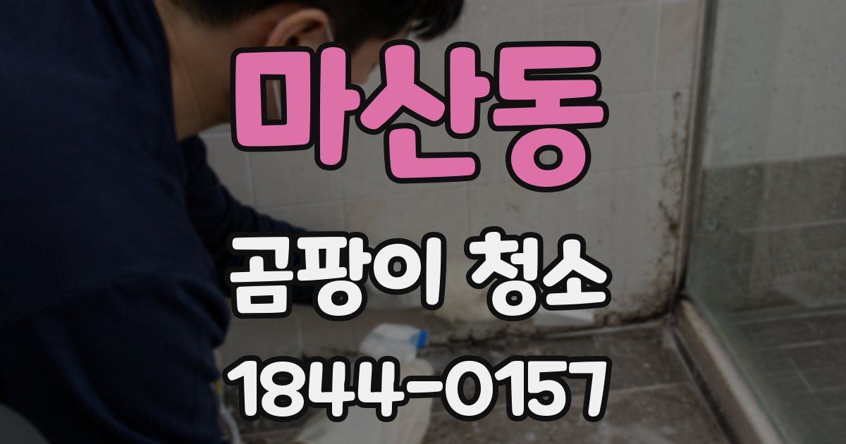 마산동 곰팡이 청소