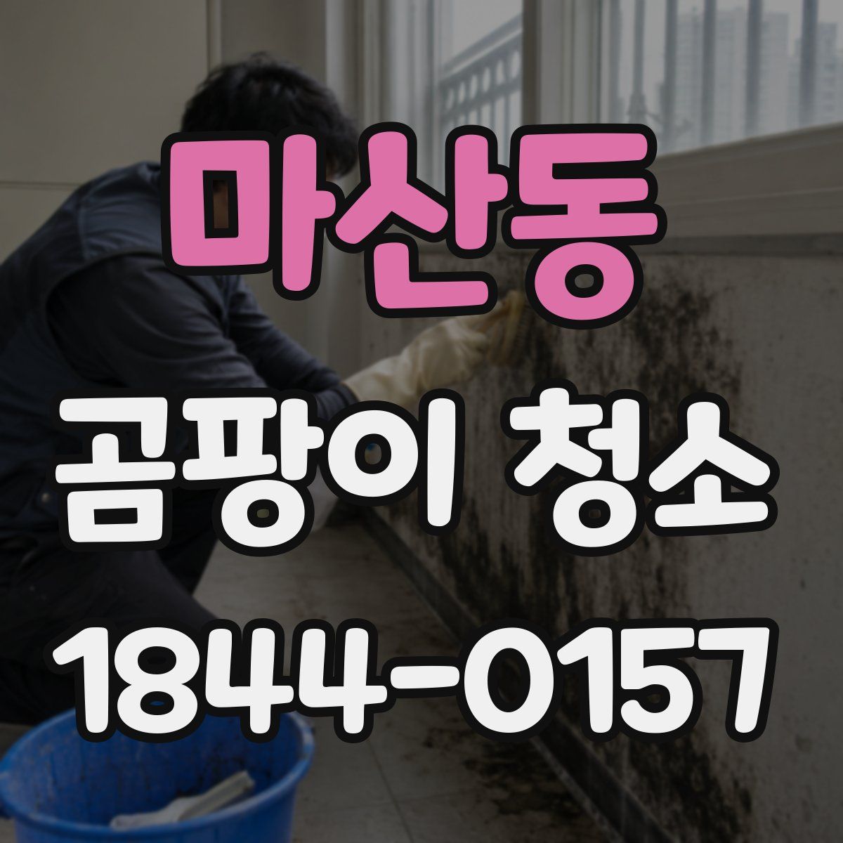 마산동 곰팡이 청소