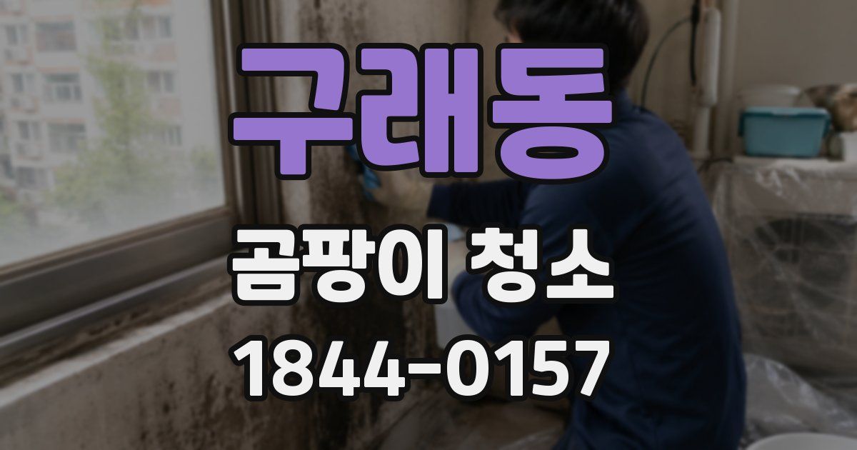 구래동 곰팡이 청소