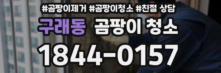 구래동 곰팡이 청소