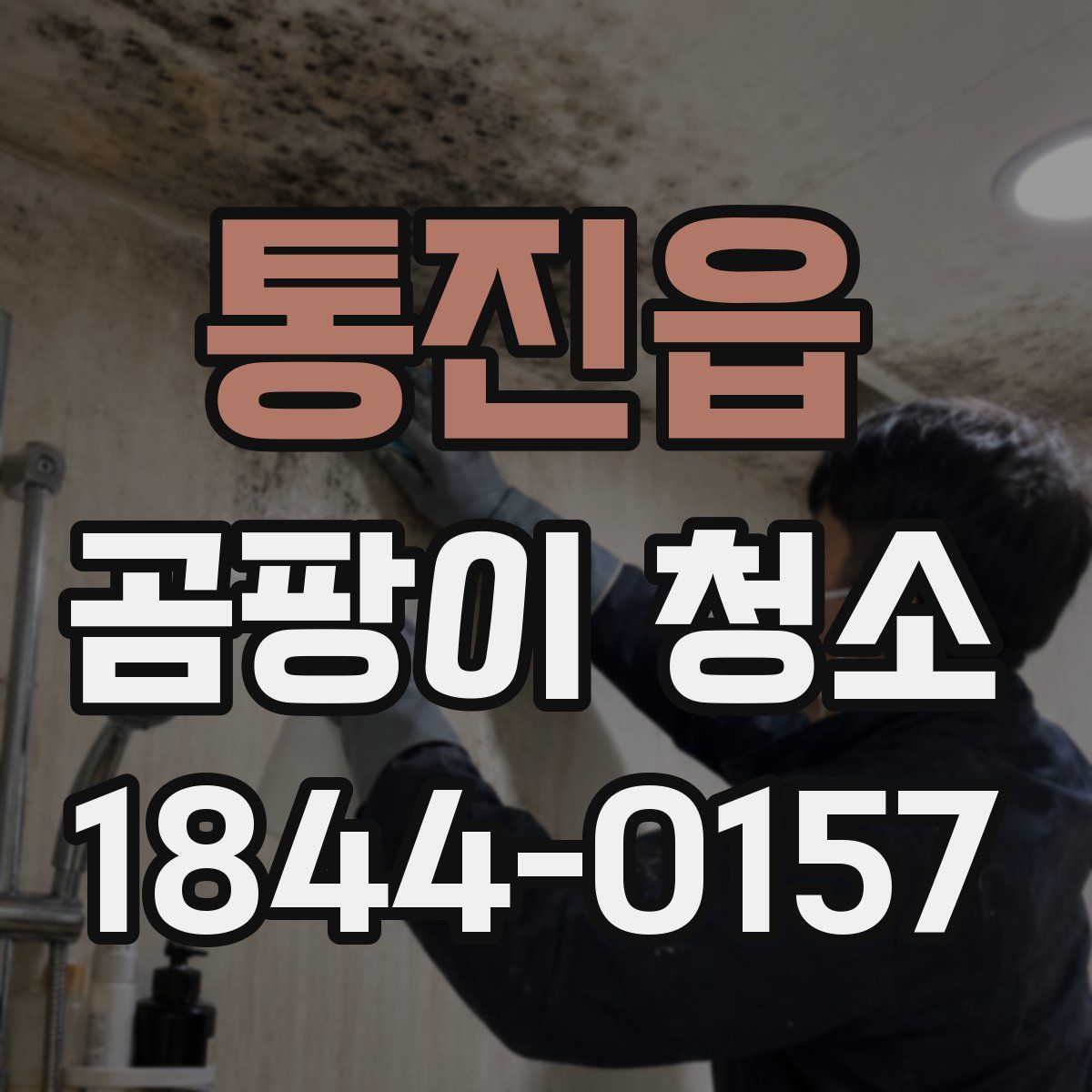통진읍 곰팡이 청소