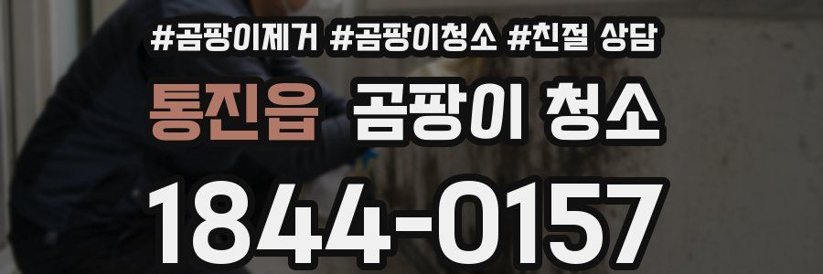 통진읍 곰팡이 청소
