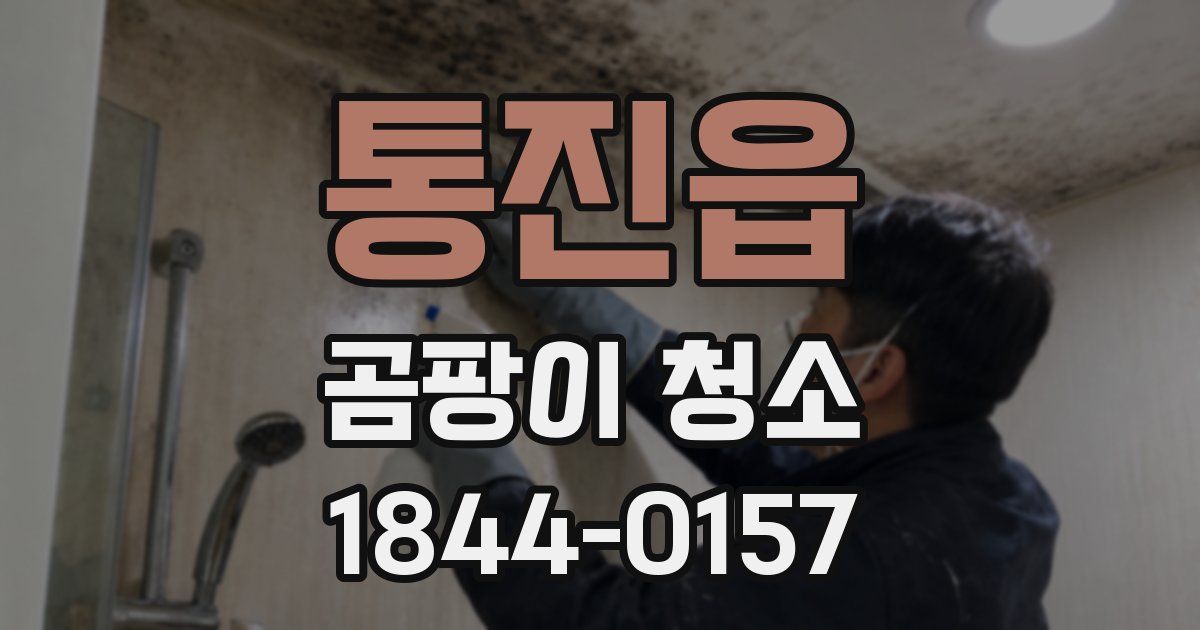 통진읍 곰팡이 청소