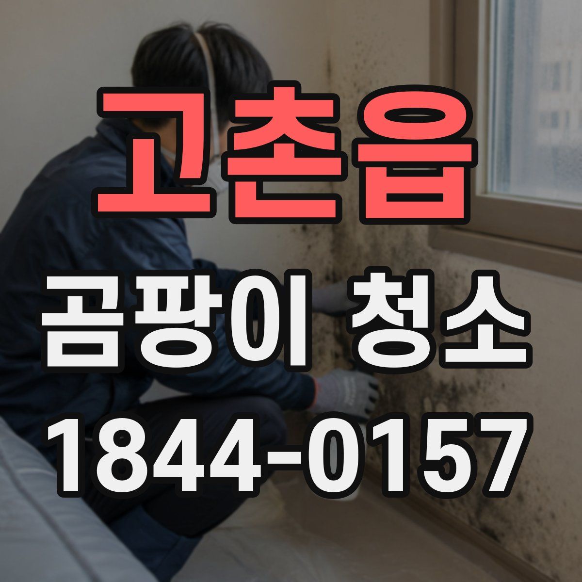고촌읍 곰팡이 청소