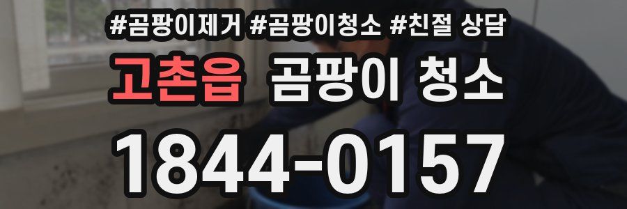 고촌읍 곰팡이 청소