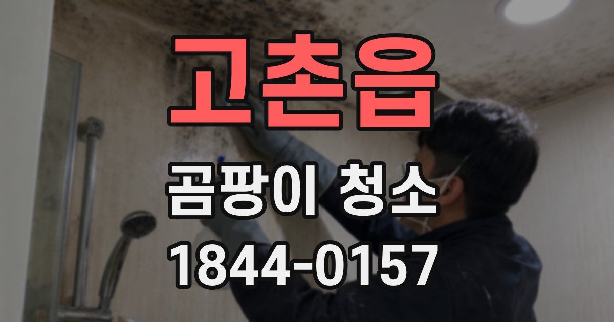 고촌읍 곰팡이 청소