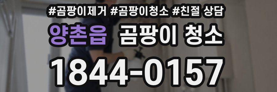 양촌읍 곰팡이 청소