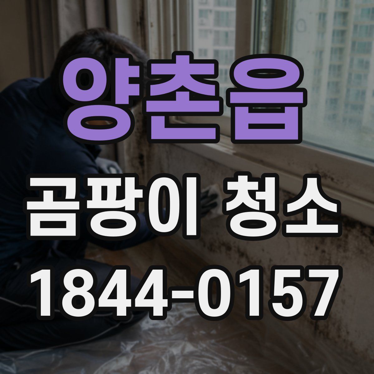 양촌읍 곰팡이 청소