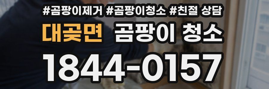 대곶면 곰팡이 청소