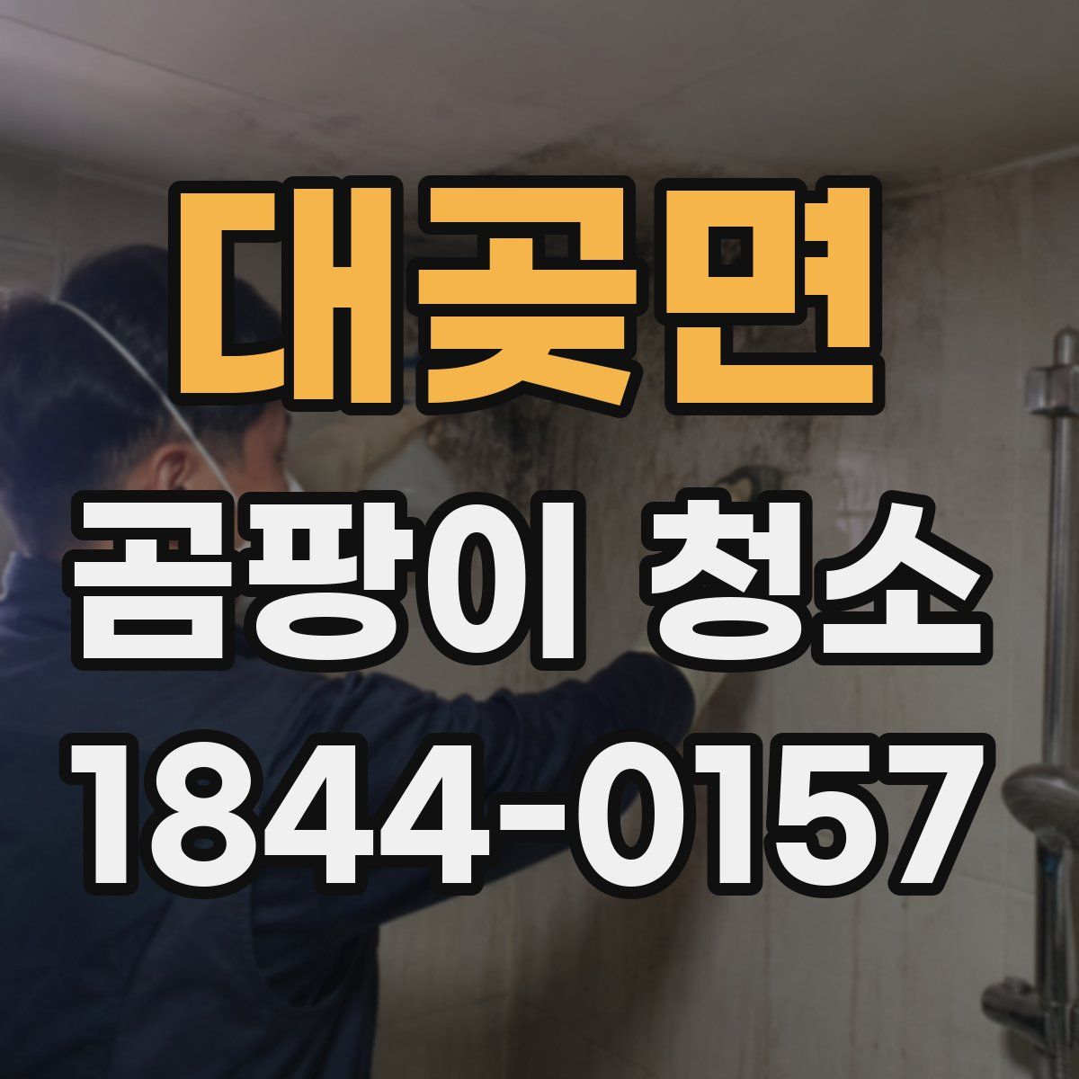 대곶면 곰팡이 청소
