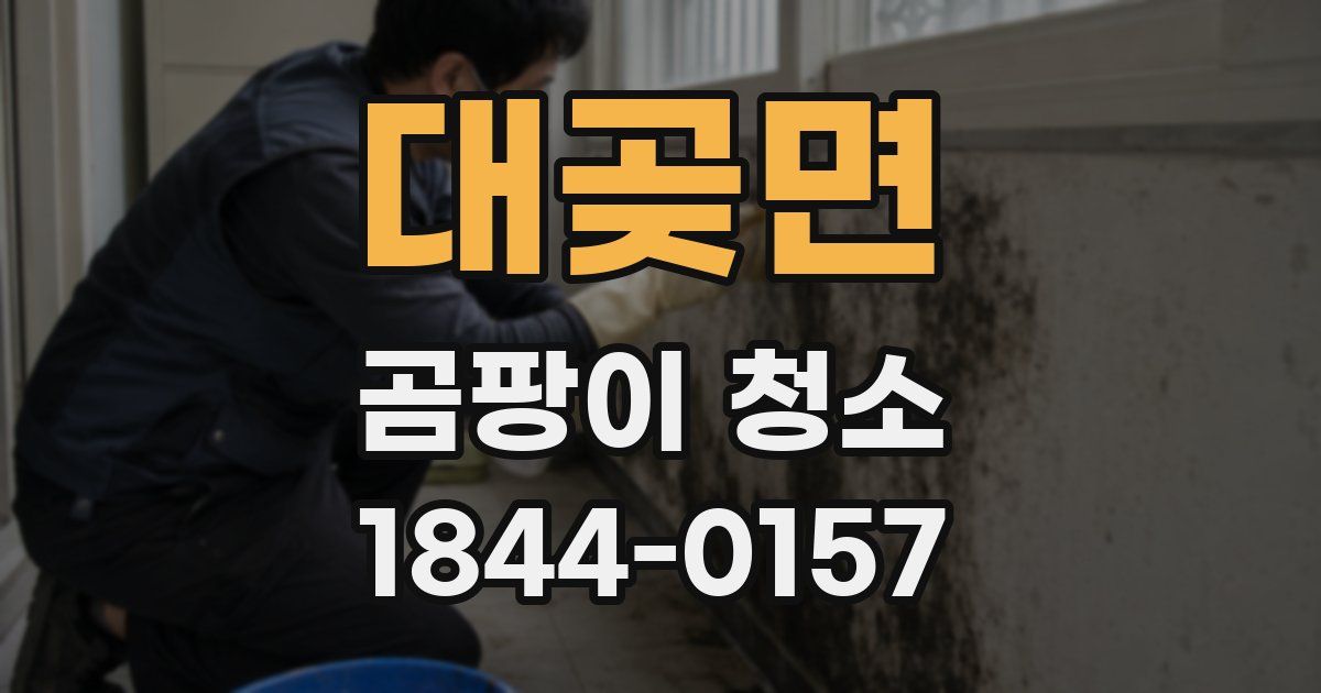 대곶면 곰팡이 청소