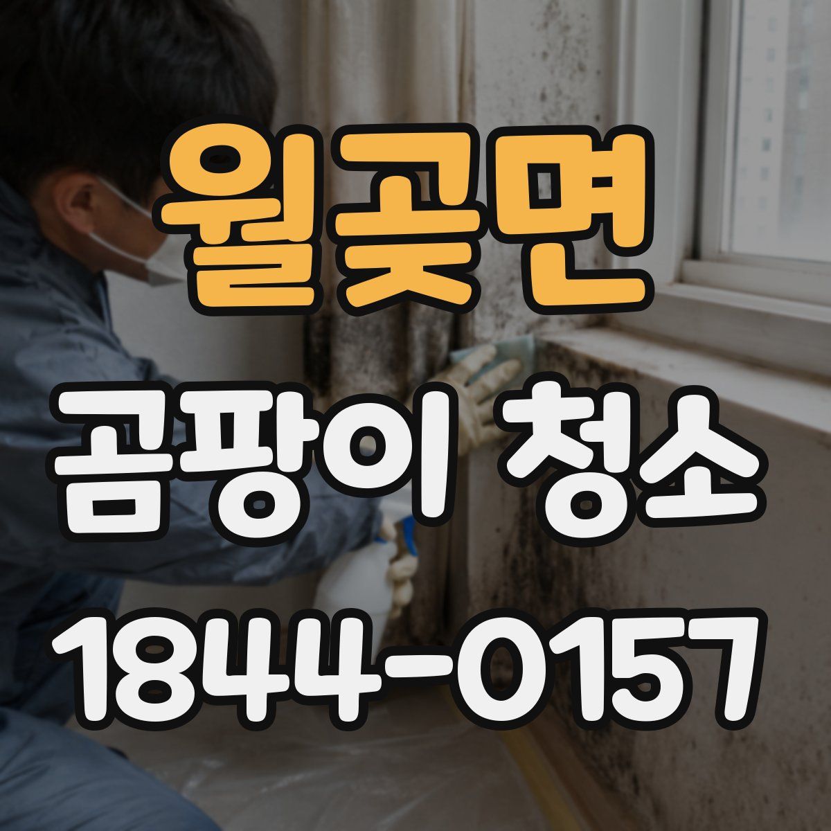 월곶면 곰팡이 청소