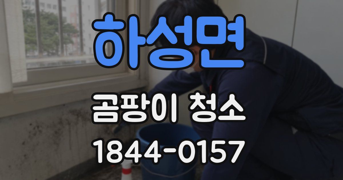 하성면 곰팡이 청소