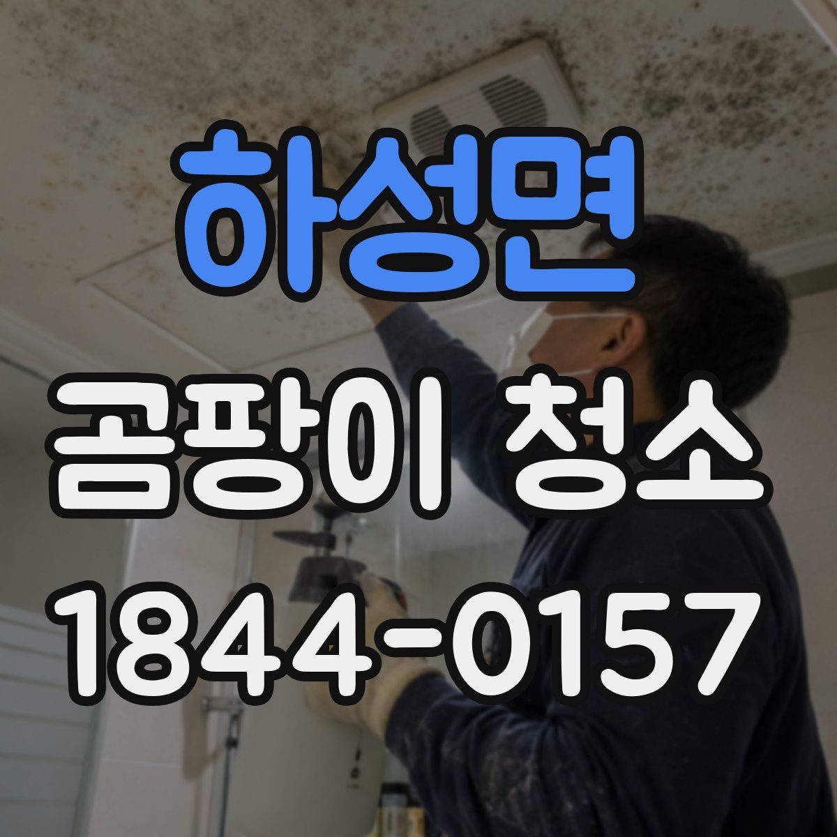 하성면 곰팡이 청소