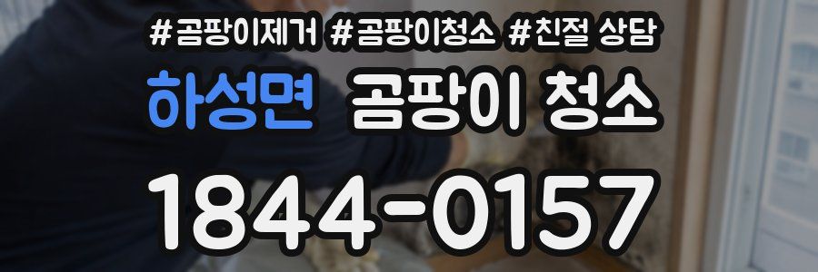 하성면 곰팡이 청소