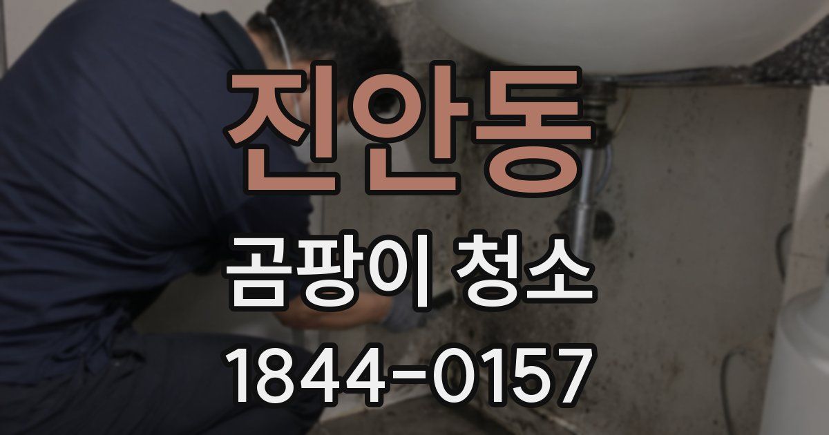 진안동 곰팡이 청소