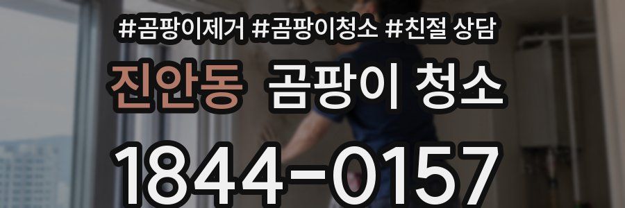 진안동 곰팡이 청소