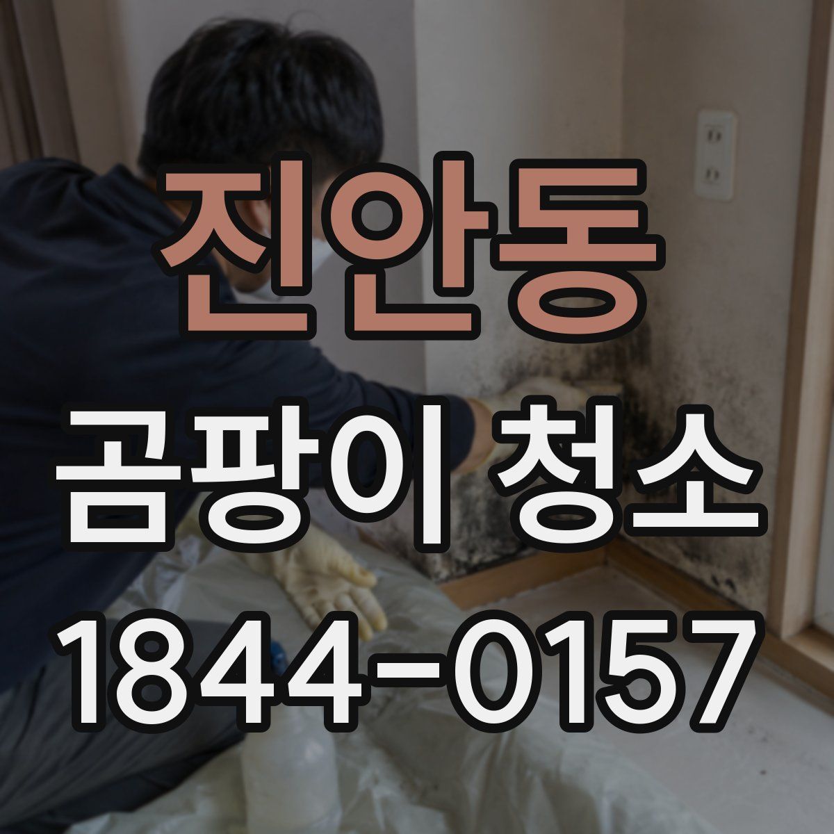 진안동 곰팡이 청소