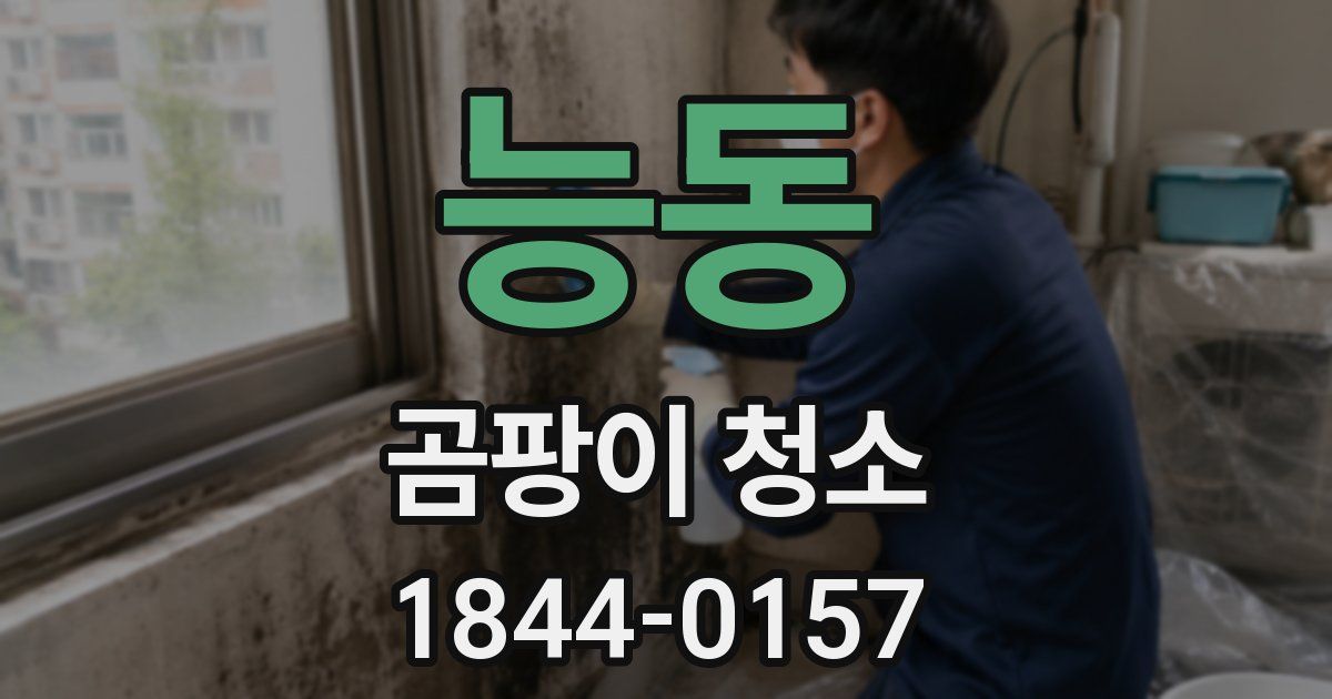 능동 곰팡이 청소