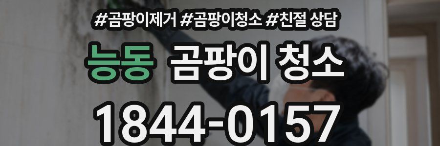 능동 곰팡이 청소