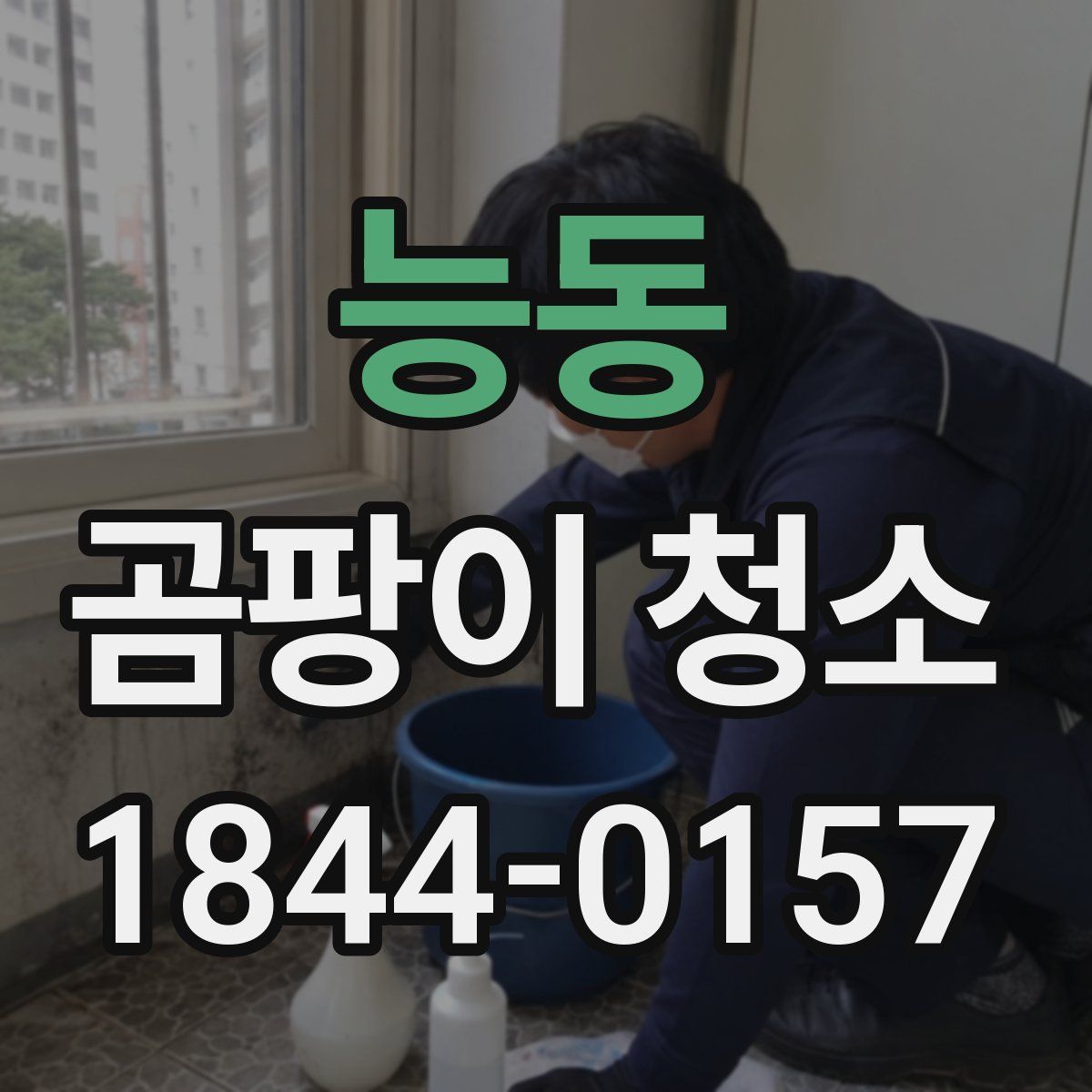 능동 곰팡이 청소