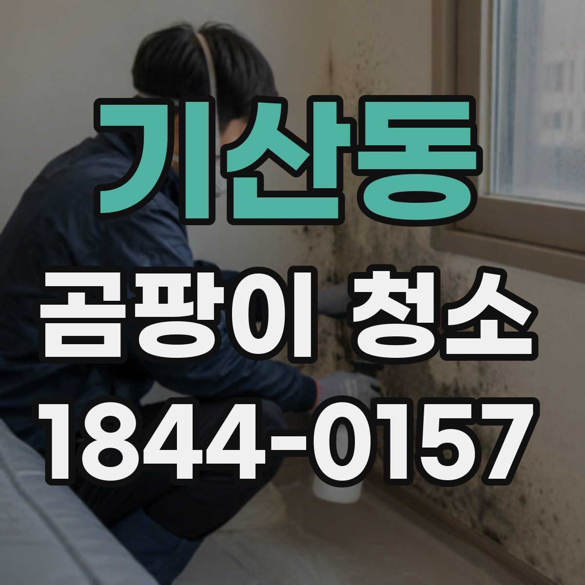 기산동 곰팡이 청소