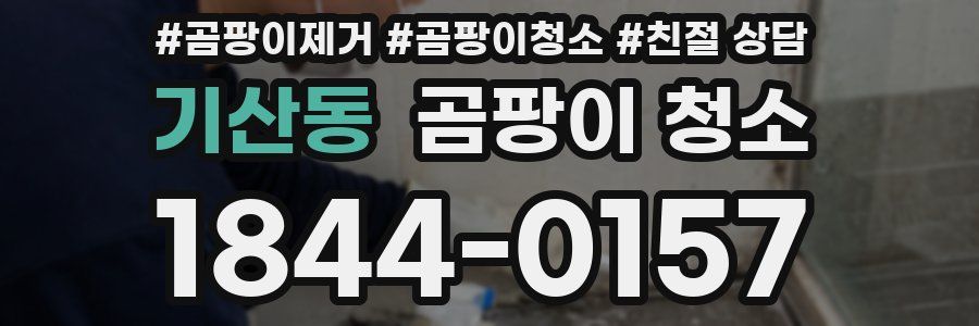 기산동 곰팡이 청소