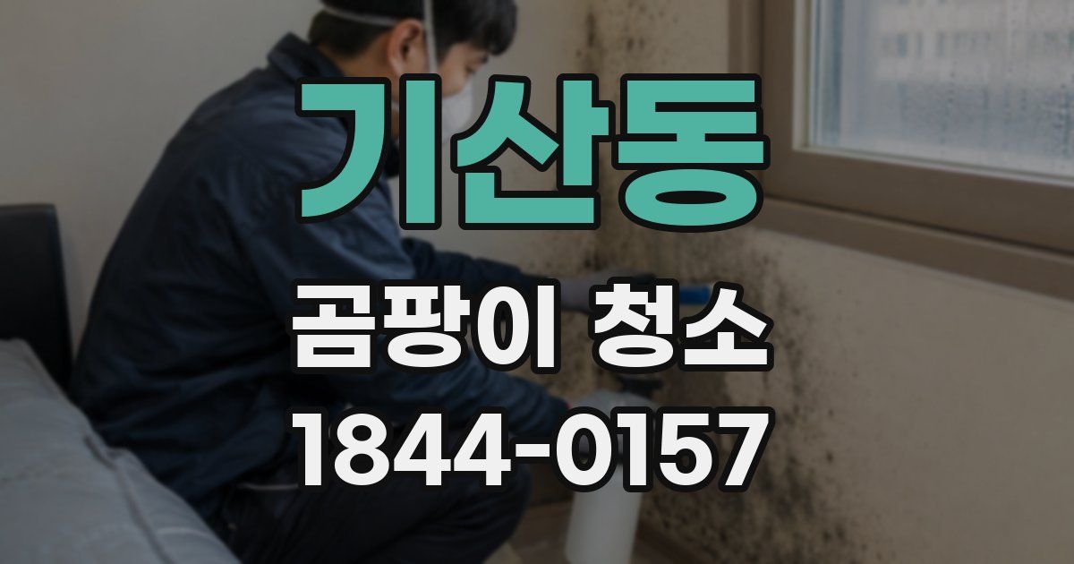 기산동 곰팡이 청소