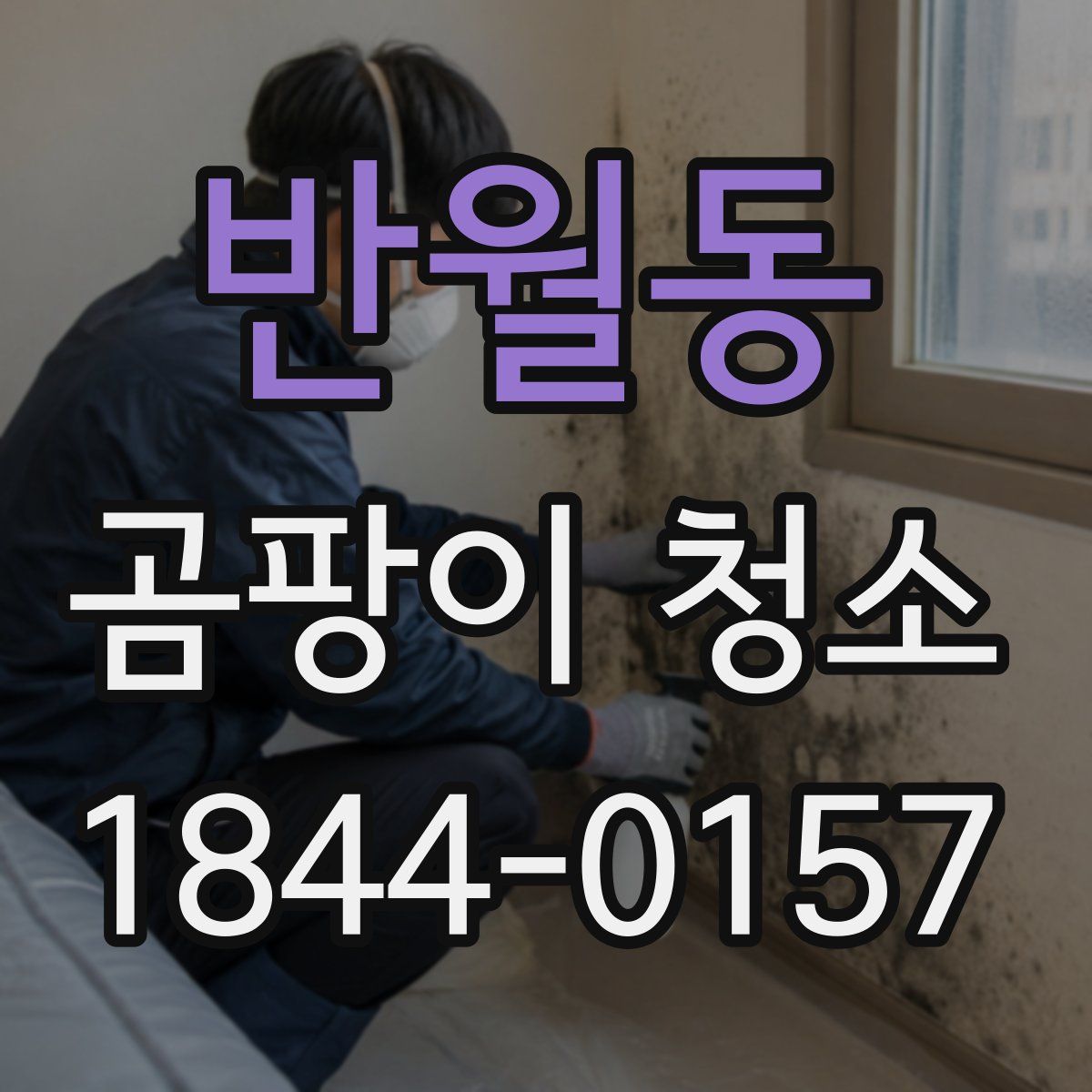 반월동 곰팡이 청소