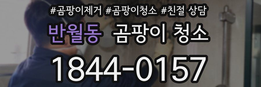 반월동 곰팡이 청소