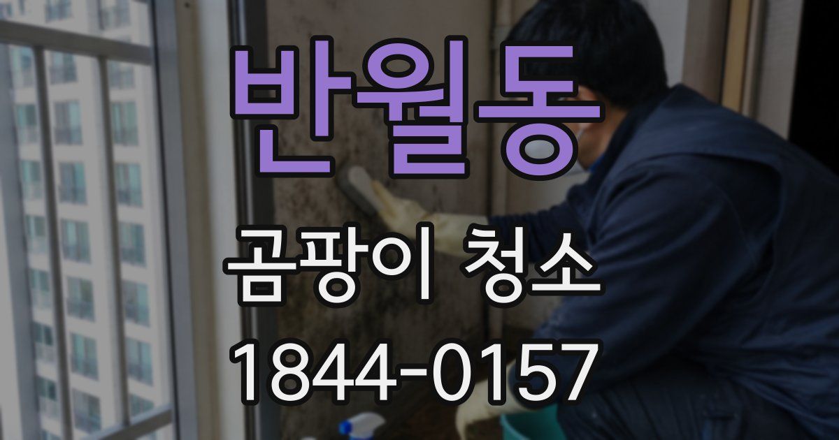 반월동 곰팡이 청소